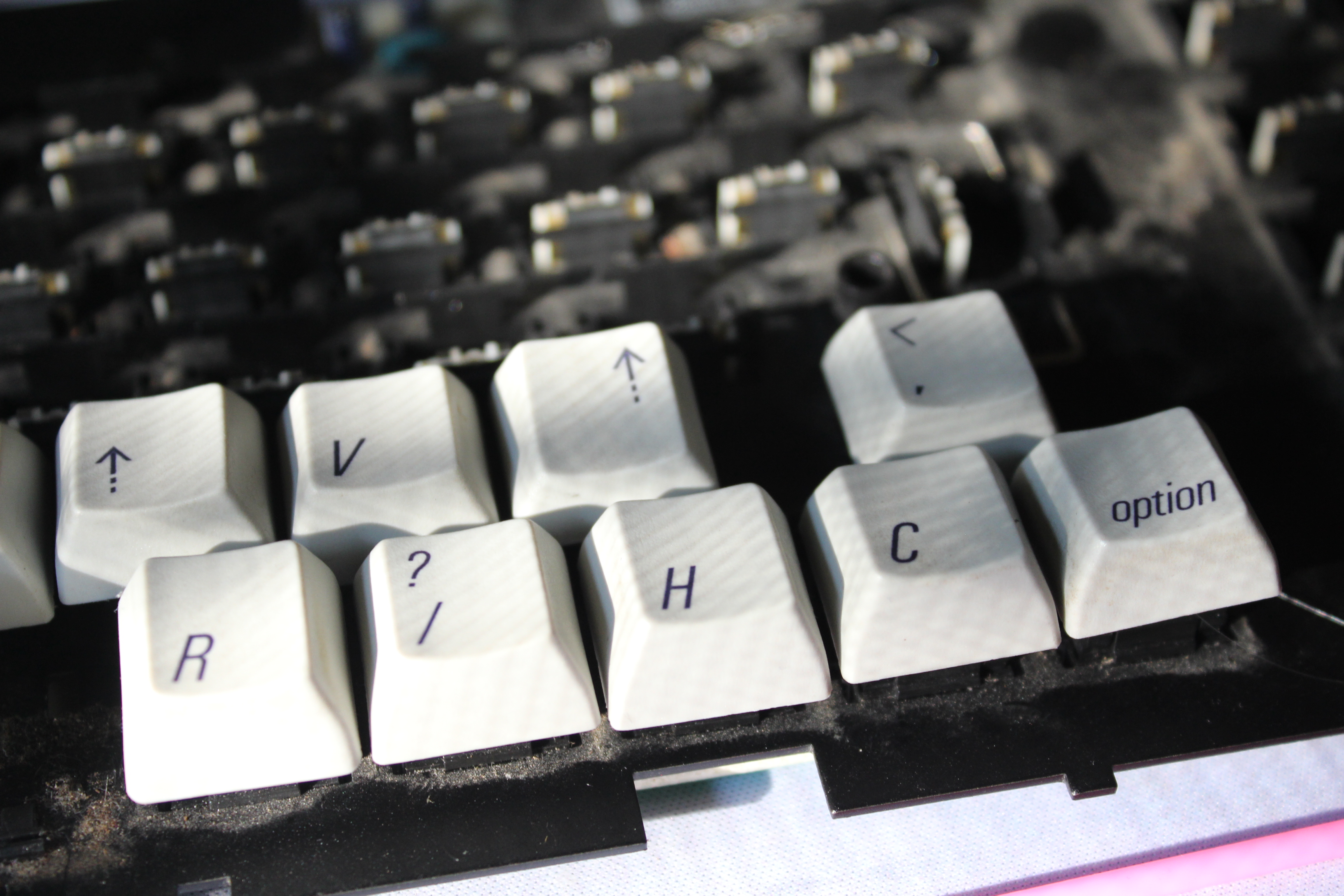 Treeleaf's Alps restoration project/ guide ~ 251292-5