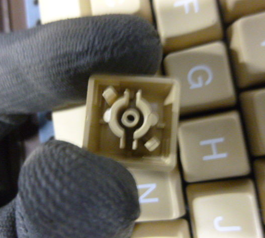 Help me identify these switches