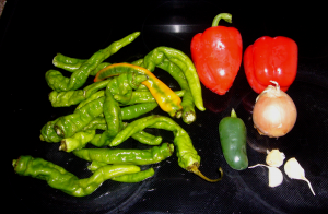 pepper-salsa-before.JPG