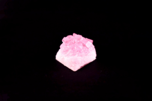 Custom Clicks - Pink Himalayan Sale Now Live! 180140-1