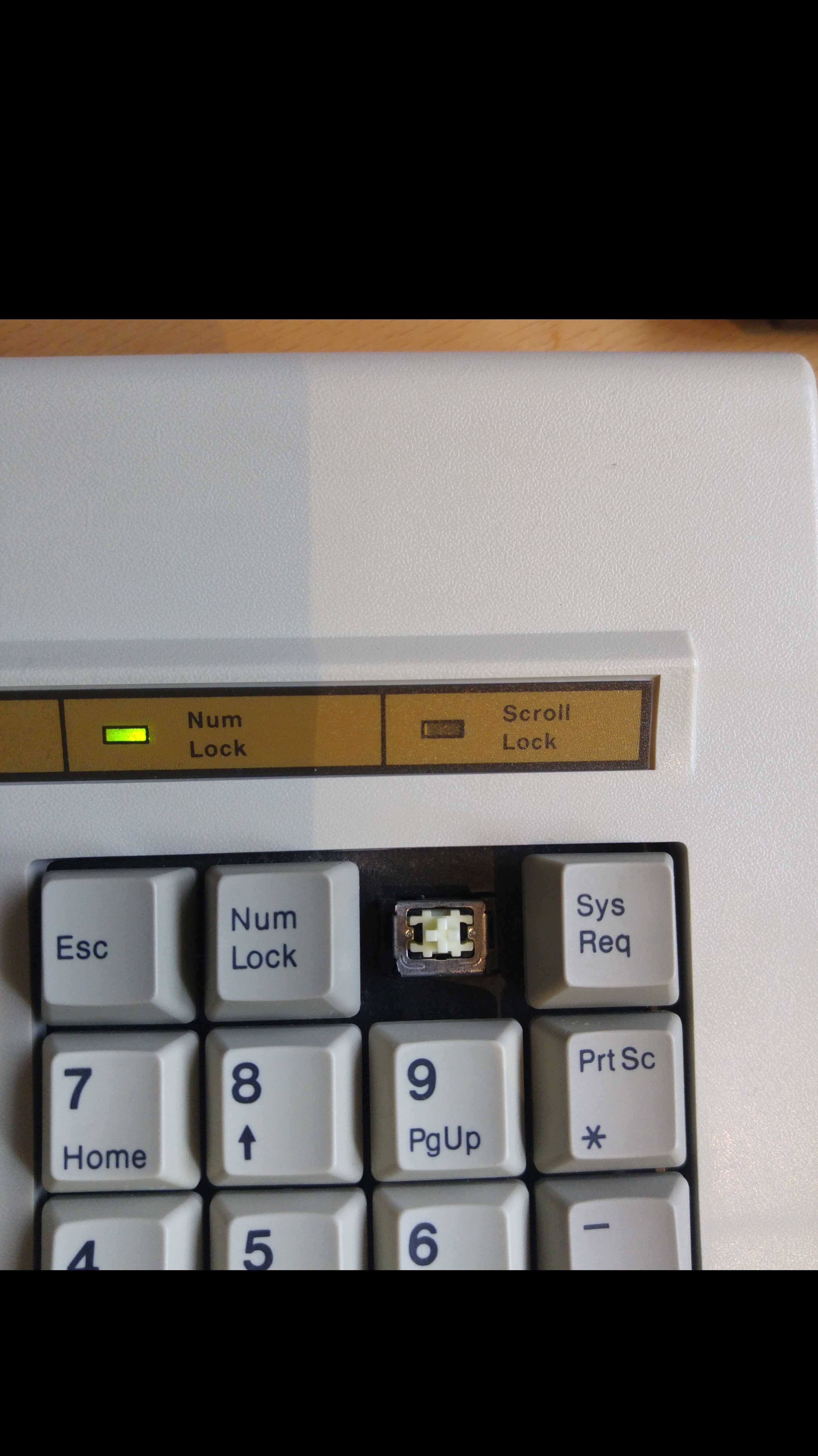 Chicony KB-5160 Blue Alps debacle - no thanks to Deskthority wiki 164257-1