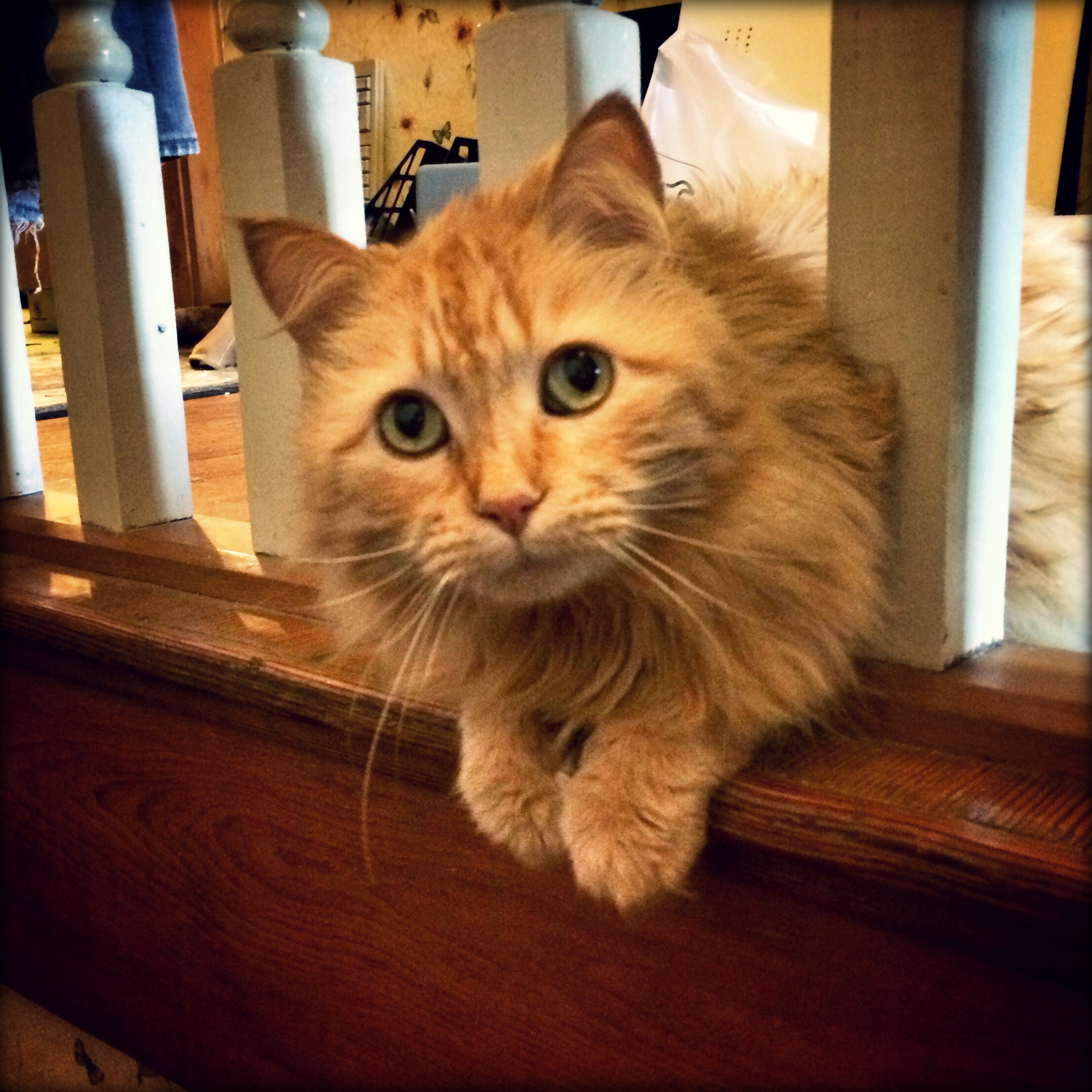 What's Bothering You? (The thread about what is bothering you.) 227166-0