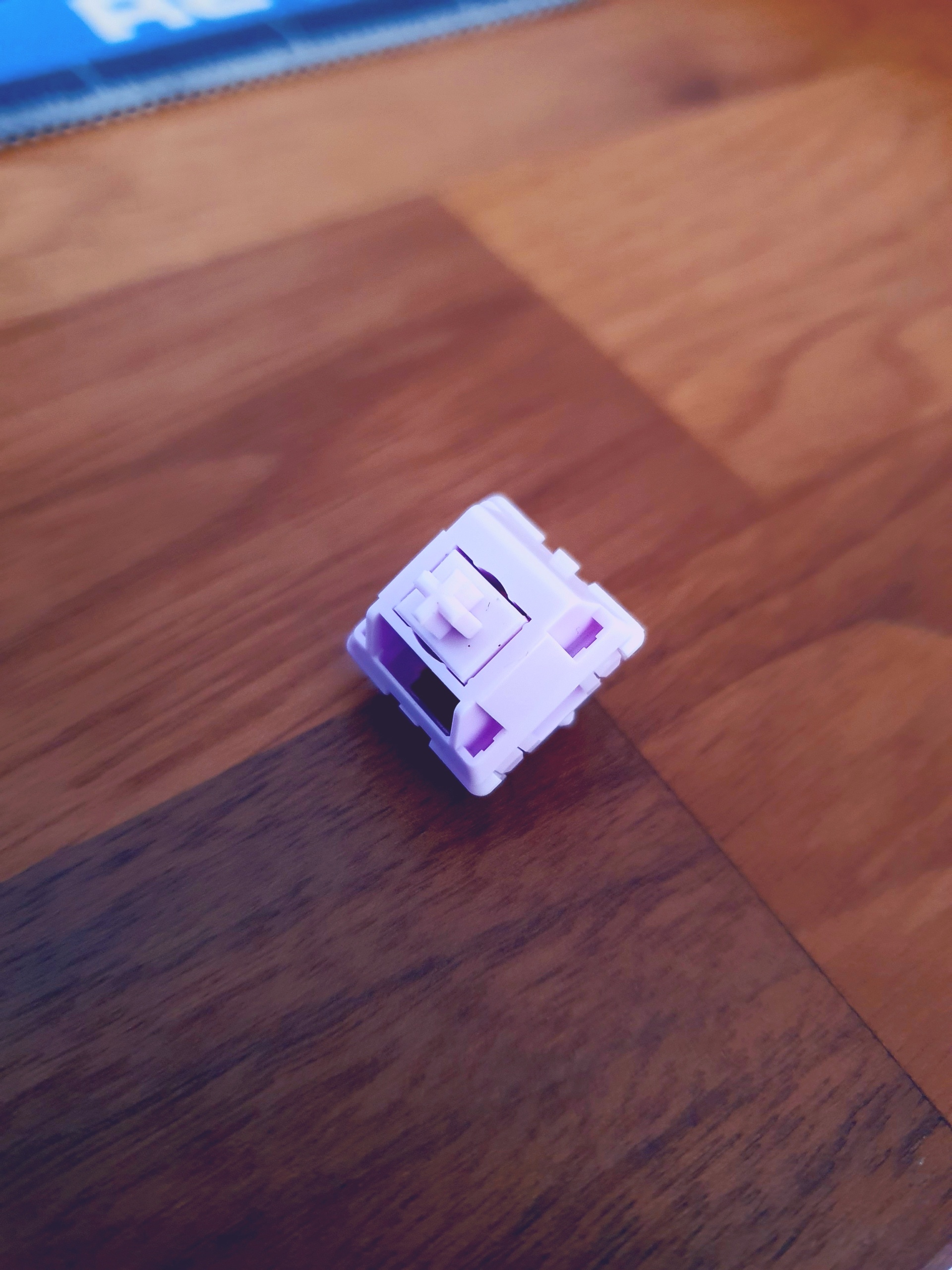 Help identifying a switch 312948-0