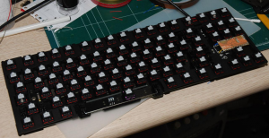 POST Your GON(s)!!!! ;) 33241-0