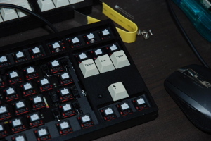 POST Your GON(s)!!!! ;) 33247-3