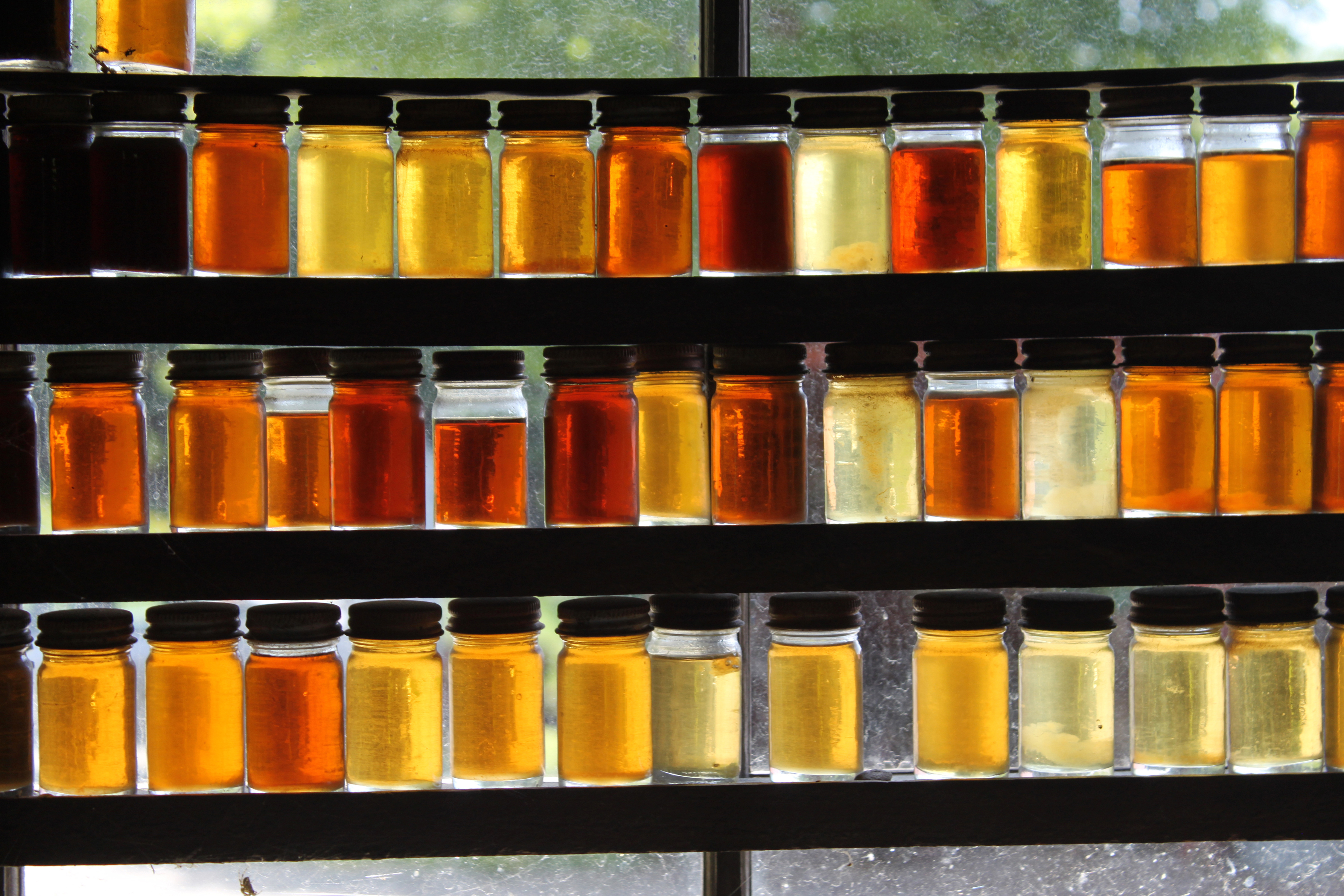 BeeCaps - First try at keycap making (interest check) 104252-0