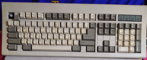 What is the switch in this keyboard 249364-0