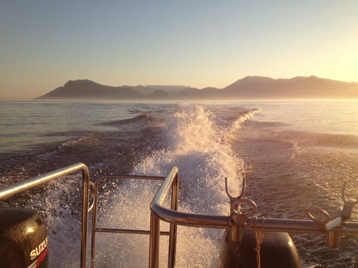 What did you do today? 60958-0