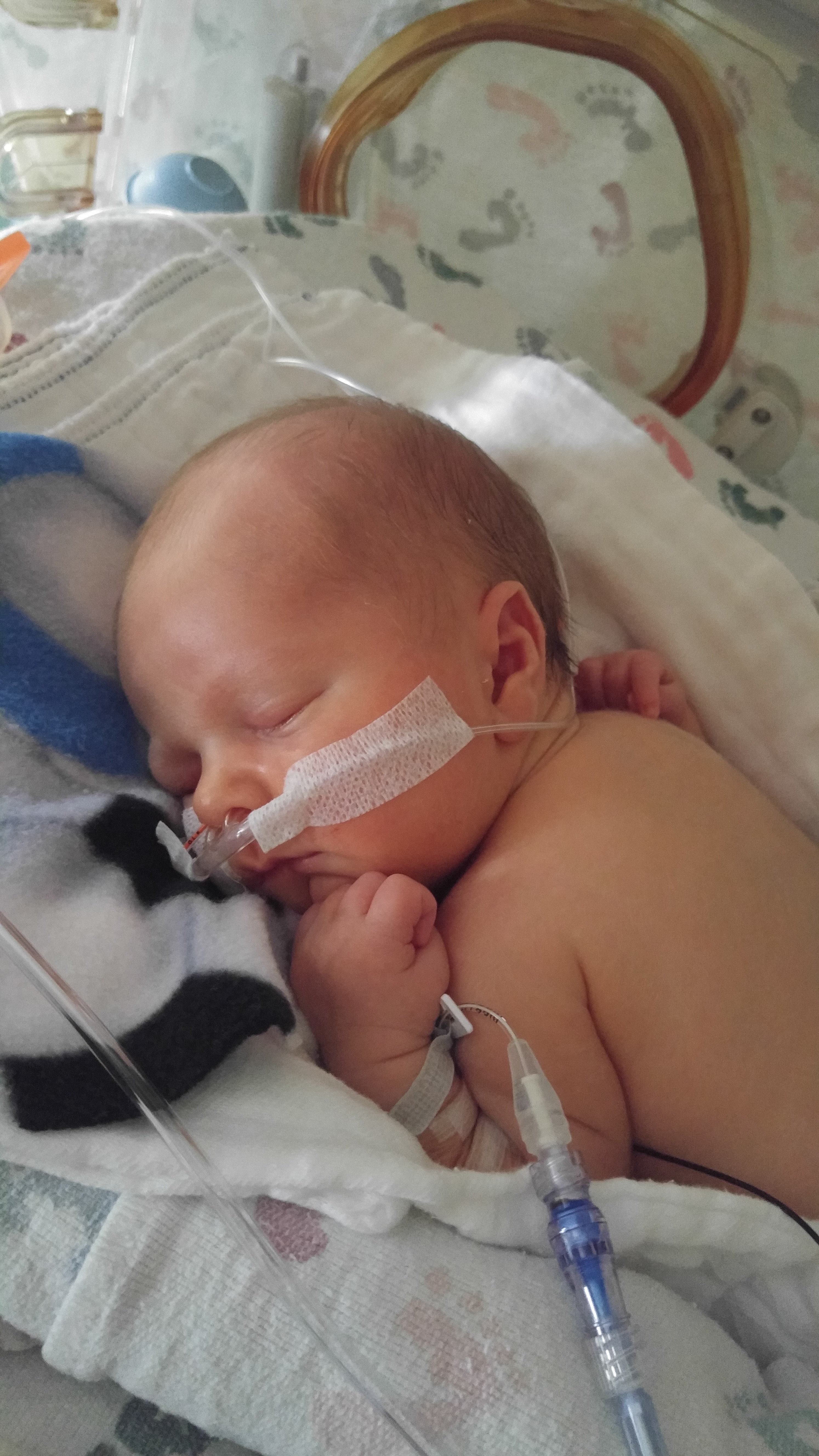 Booper Makes Keycaps! - HACK'D BOOPS! 151746-0