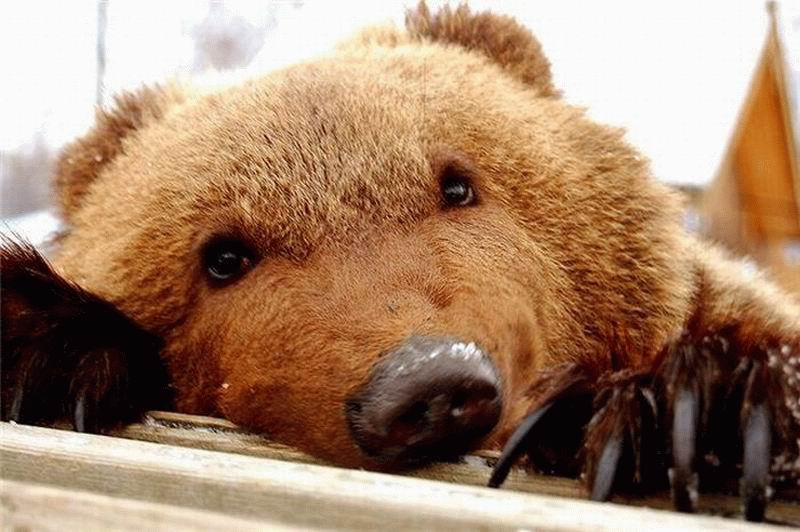 Keep Exit Awake Thread! 63914-0