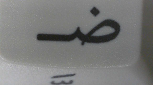 DCD Hundred Acres by Beesley and Cthalupa Keycap Review - Vendored by Drop 308819-8