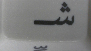 DCD Hundred Acres by Beesley and Cthalupa Keycap Review - Vendored by Drop 308823-10