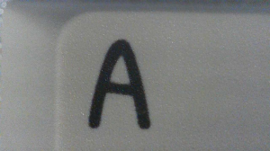 DCD Hundred Acres by Beesley and Cthalupa Keycap Review - Vendored by Drop 308853-22