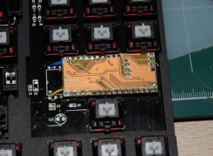 POST Your GON(s)!!!! ;) 33243-1