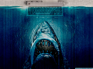 shark_attack_wallpaper- desktop copy.jpg