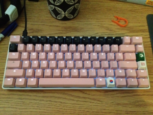 My Keyboard Army Groweth!!! 7957-1
