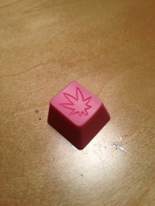 What did you get in the mail today? 20110-1