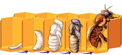 An actual giveaway (winnerz posted)