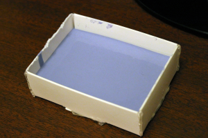 phruitpie's Attempt at Making Caps 123788-1