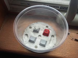 phruitpie's Attempt at Making Caps 123802-8