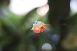 【IC】Autumn Rain switch . 282323-8