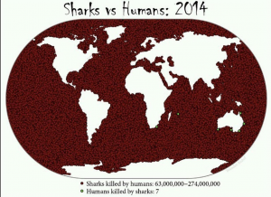 sharks_vs_humans.jpg