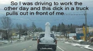 dick_in_a_pickup_truck.bmp